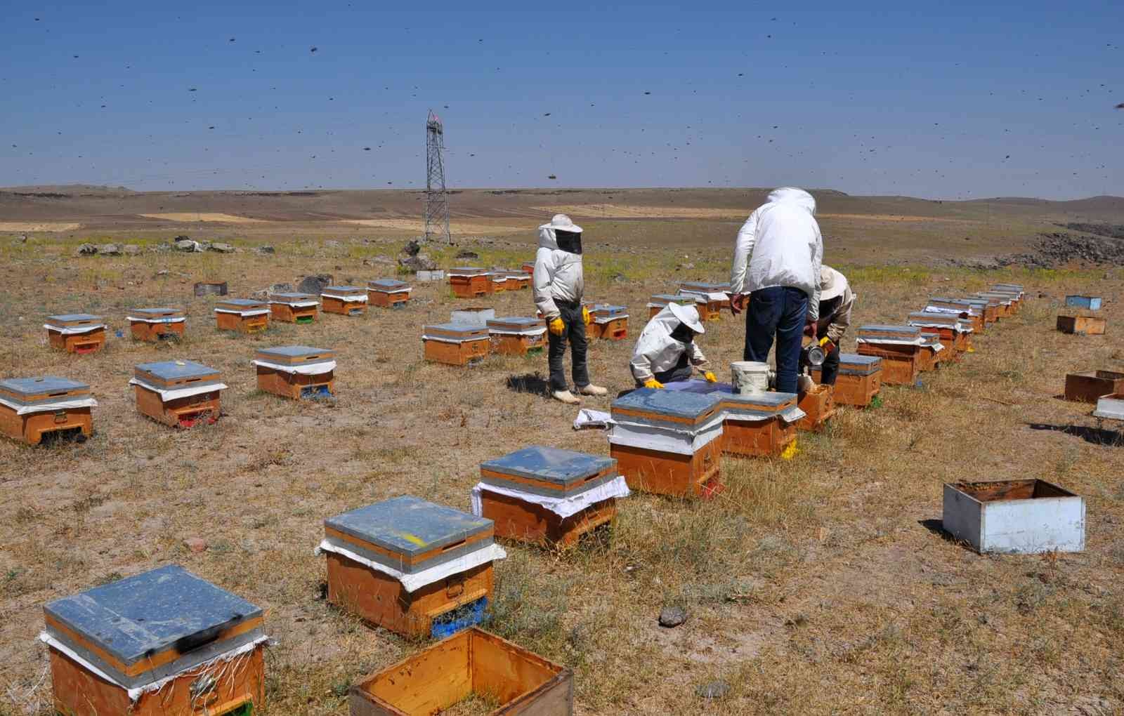 Arıcılar kara kışın ortasında arılara bakım ve yemleme yapıyor