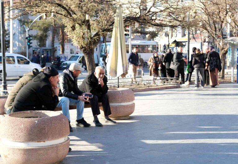 Son yılların en sıcak kış ayını geçiren Erzincan’da vatandaş şaşkın