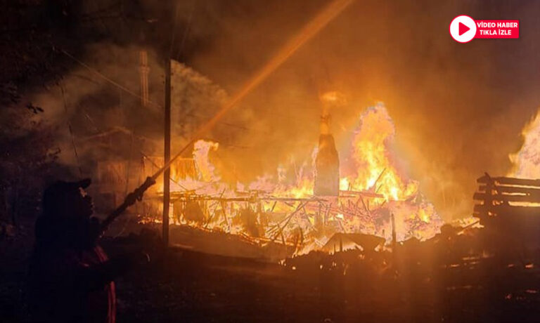 Köyde çıkan yangında 4 ev, ahır, ambar, odunluk yandı
