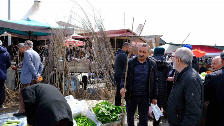 Erzincan’da meyve fidanı satışı başladı