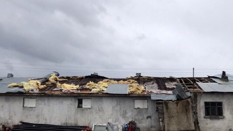 Fırtınanın çatısını uçurduğu ahırda 15 kuzu telef oldu