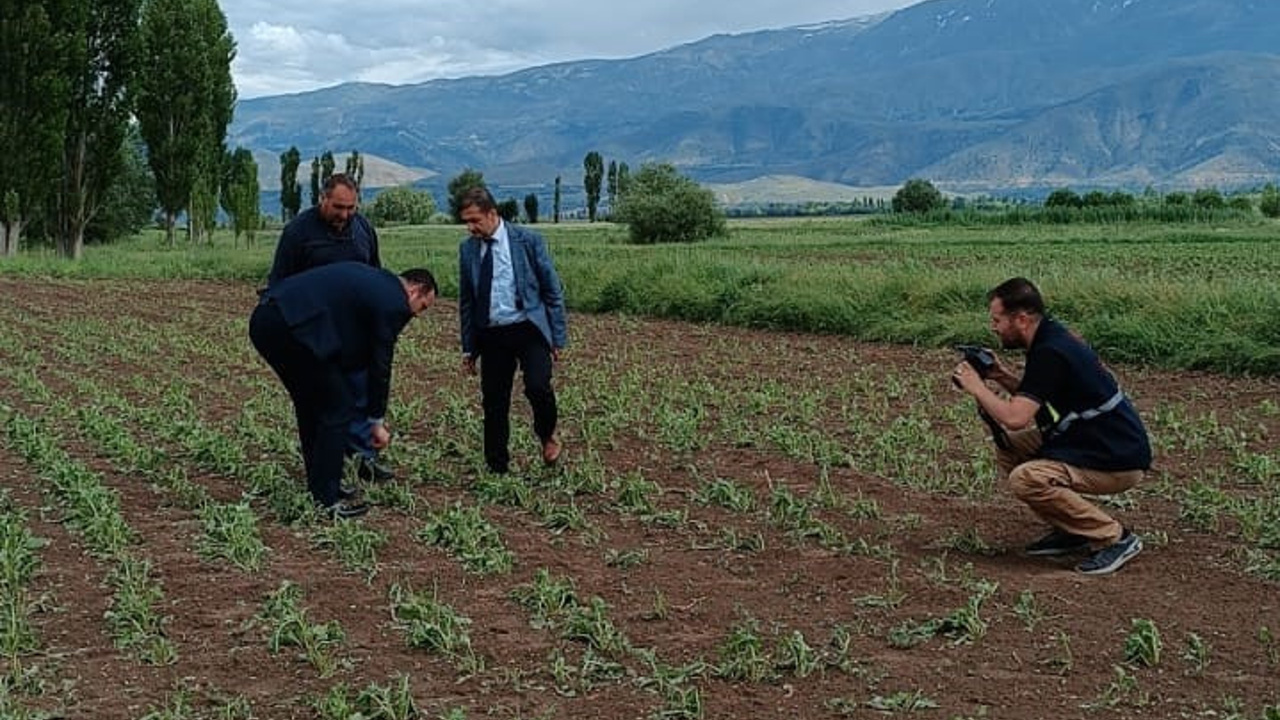 Erzincan’da 2 bin dönüm ekili araziyi dolu vurdu