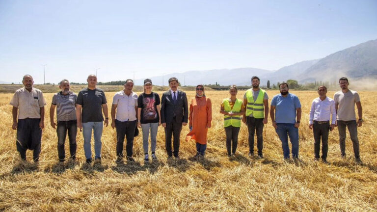 Erzincan Belediyesi’ne ait hububat tarlalarında Biçerdöver ile hasat başladı