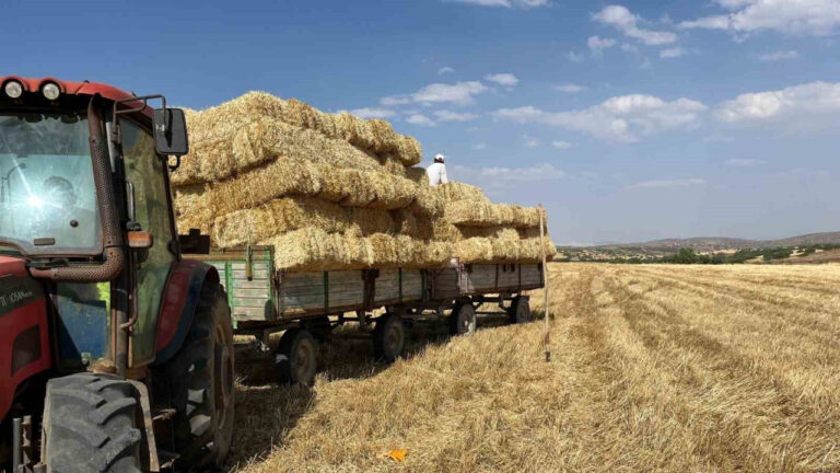 Erzincan’da çiftçilerin saman mesaisi başladı