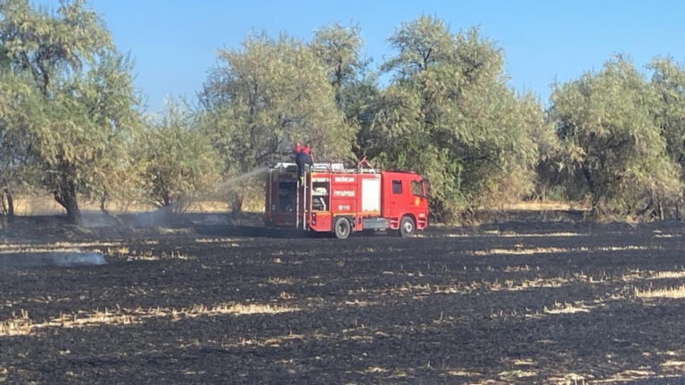 Gümüştarla Köyü Arazisinde Yangın