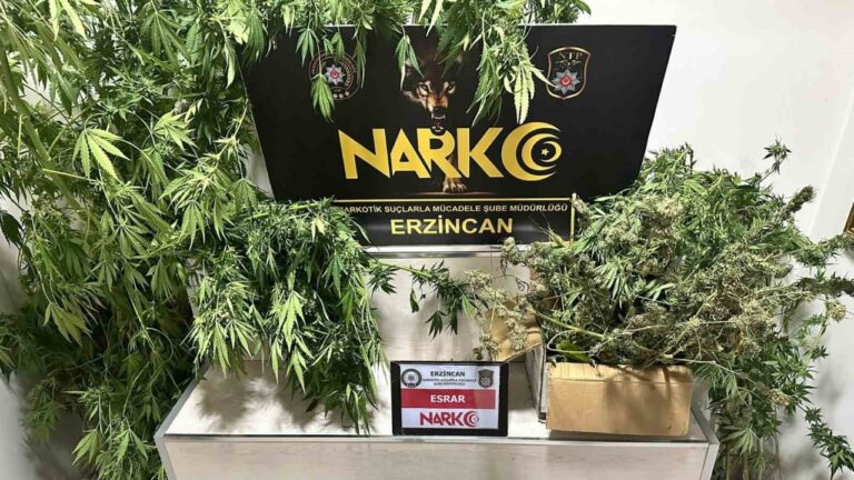 Erzincan’da 1.285 gram esrar ve 11 kök kenevir ele geçirildi