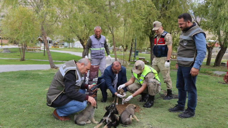 Erzincan Belediyesi Sokak Hayvanlarını Unutmuyor