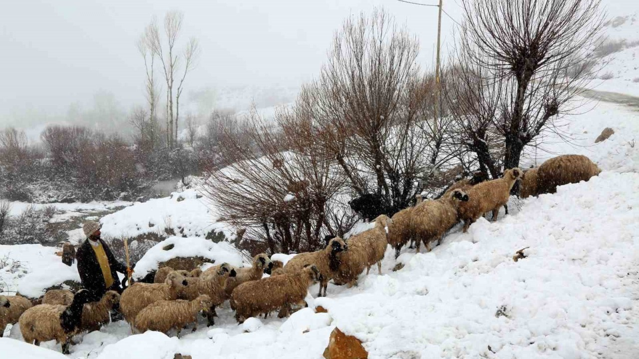 Yaylalardan inmeye başlanan koyun sürüsü kar, tipiye yakalandı