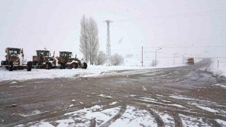 Erzincan’ın yüksek kesimlerinde kar yağışı etkili oldu