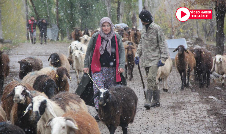 Devletten destek alan kadın çiftçi hayvan varlığını 2 katına çıkardı