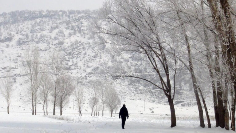 Erzincan’da kar yağışı bekleniyor