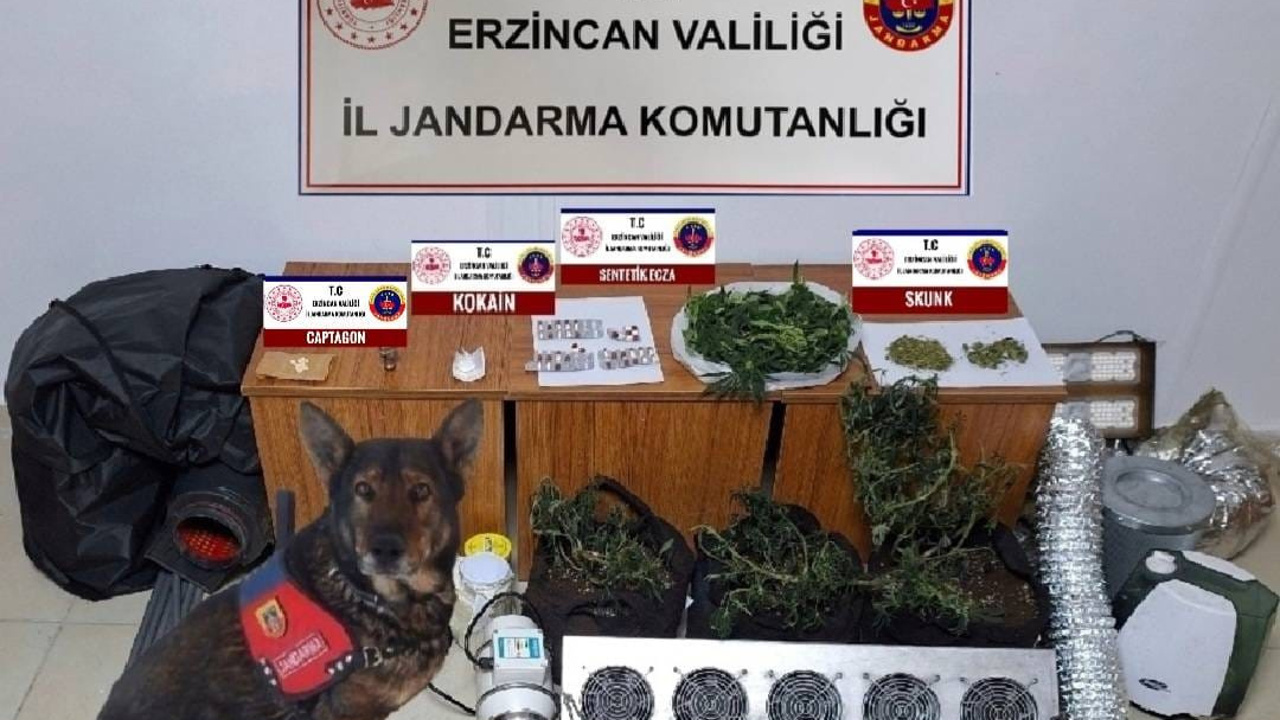 Jandarma Operasyonlarının Ocak Ayı Bilançosu