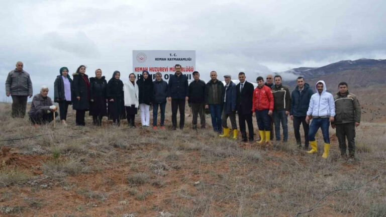 Kemah’ta fidan dikim etkinliği düzenlendi