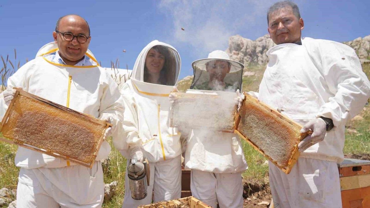 Erzincan’da 100 Bin Üzeri Kolonide 1 Milyon Kilogram Bal Üretiliyor