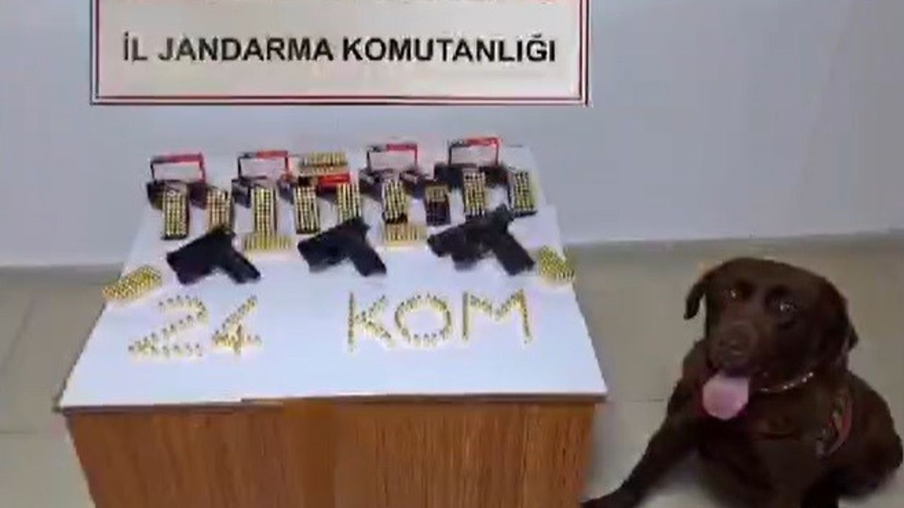 Erzincan’da Silah Kaçakçısı 1 Kişi Yakalandı