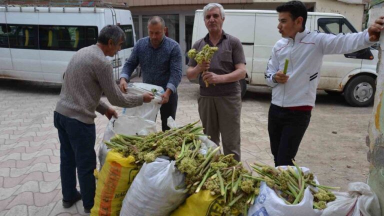 Işgın Tezgahlardaki Yerini Aldı