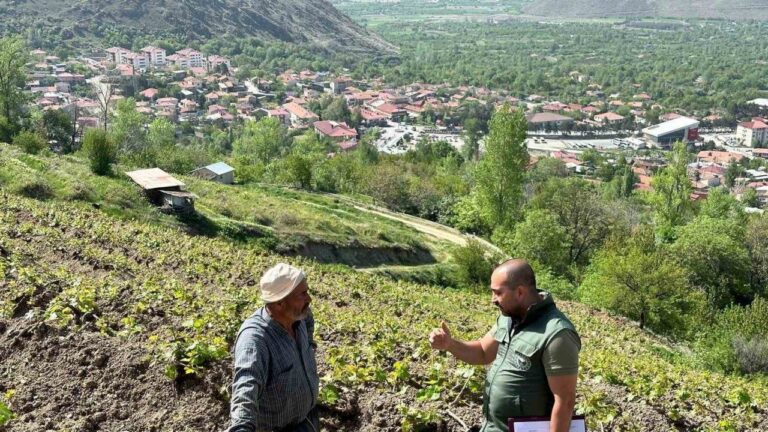 Tarım Sahalarını Adım Adım Dolaşıyorlar