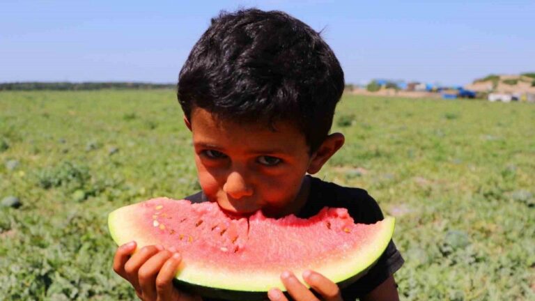 Bunaltıcı Sıcaklar Sulu Meyvelere Yöneltti