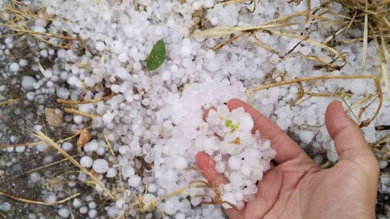 Erzincan’ın Tercan İlçesinde Dolu Etkili Oldu