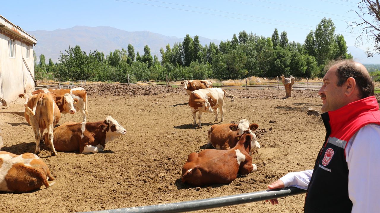 Erzincan Tarım’dan Küçük Aile İşletmelerine Ziyaret