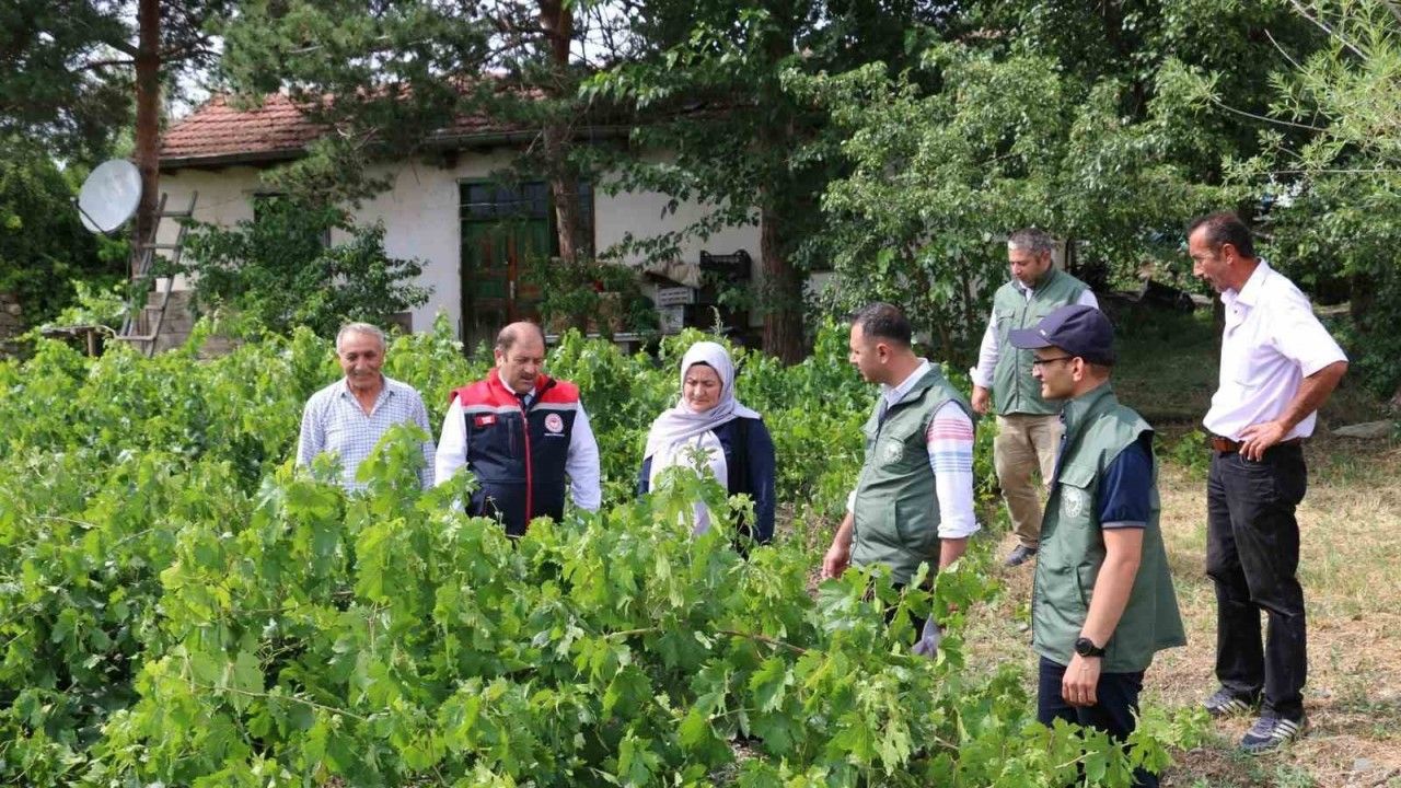 Üzümlü’ de dolu zarar verdi