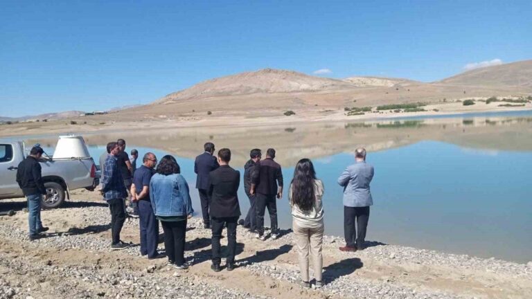 Çayırlı’da Gölete Yavru Balık Bırakıldı