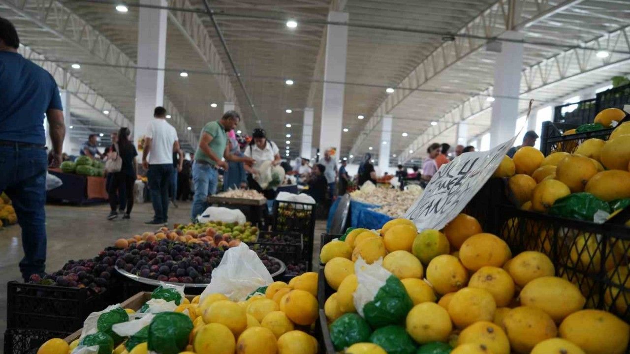 Erzincan’da Limon Fiyatı Düşüşe Geçti