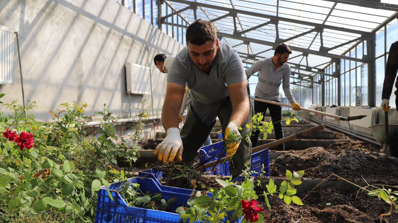 Park Bahçe Müdürlüğünden Sonbahar Çalışmaları