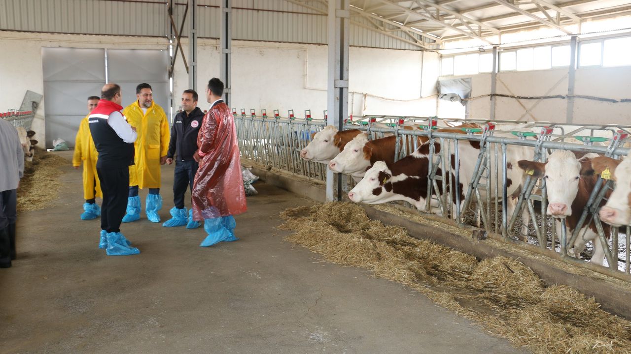 Erzincan’da Ari İşletme Çalışmaları Hız Kazandı