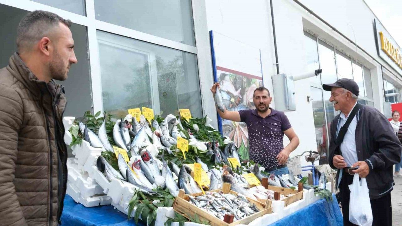 Ekim Ayında Hangi Balıklar Yenir?