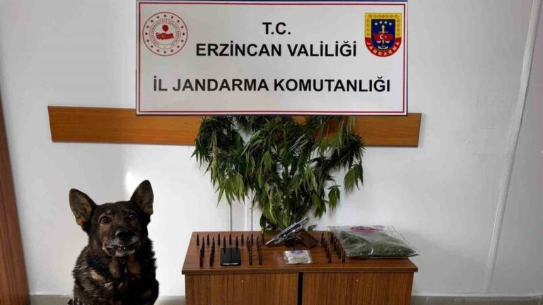 Erzincan’da Jandarma Suç olaylarına geçit vermiyor