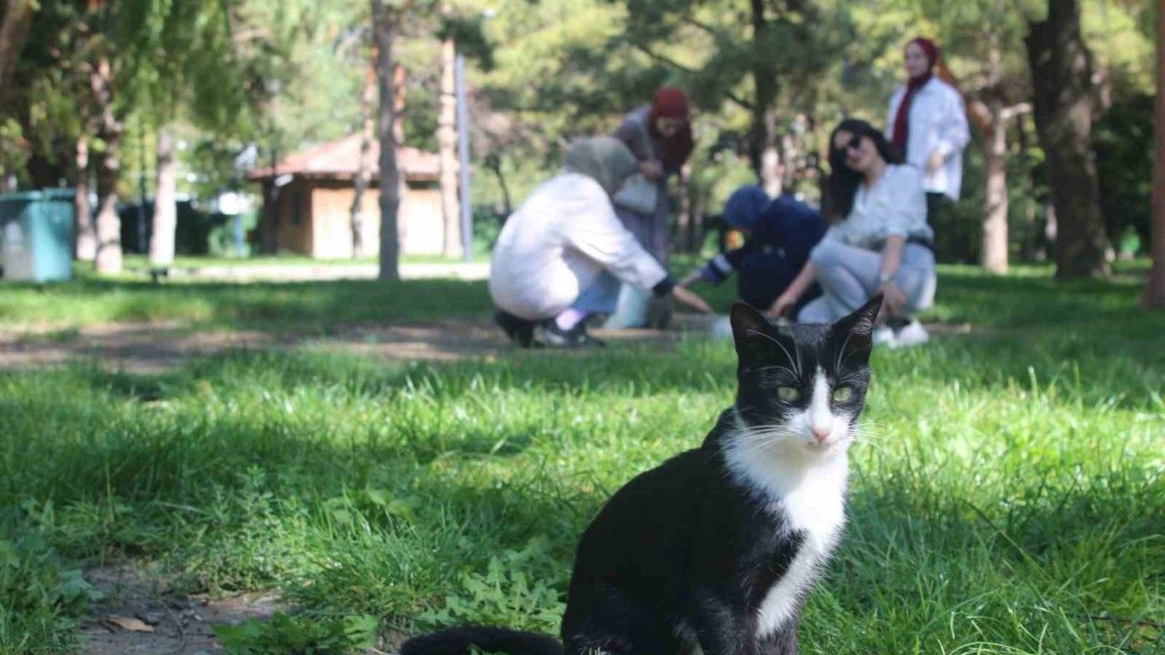 Öğrencilerden Hayvanları Koruma Günü Duyarlılığı