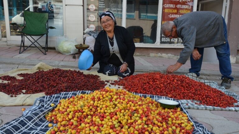 Yaban Meyveleri Pazar Tezgahlarını Süslüyor