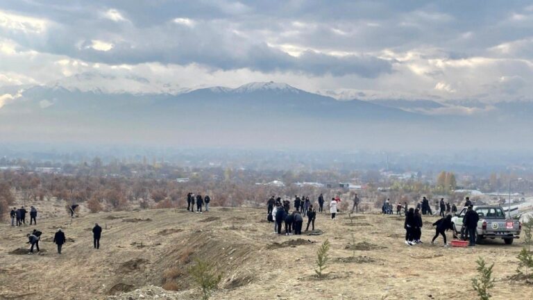 Erzincan’da Dağa Taşa Umut Ekiyorlar