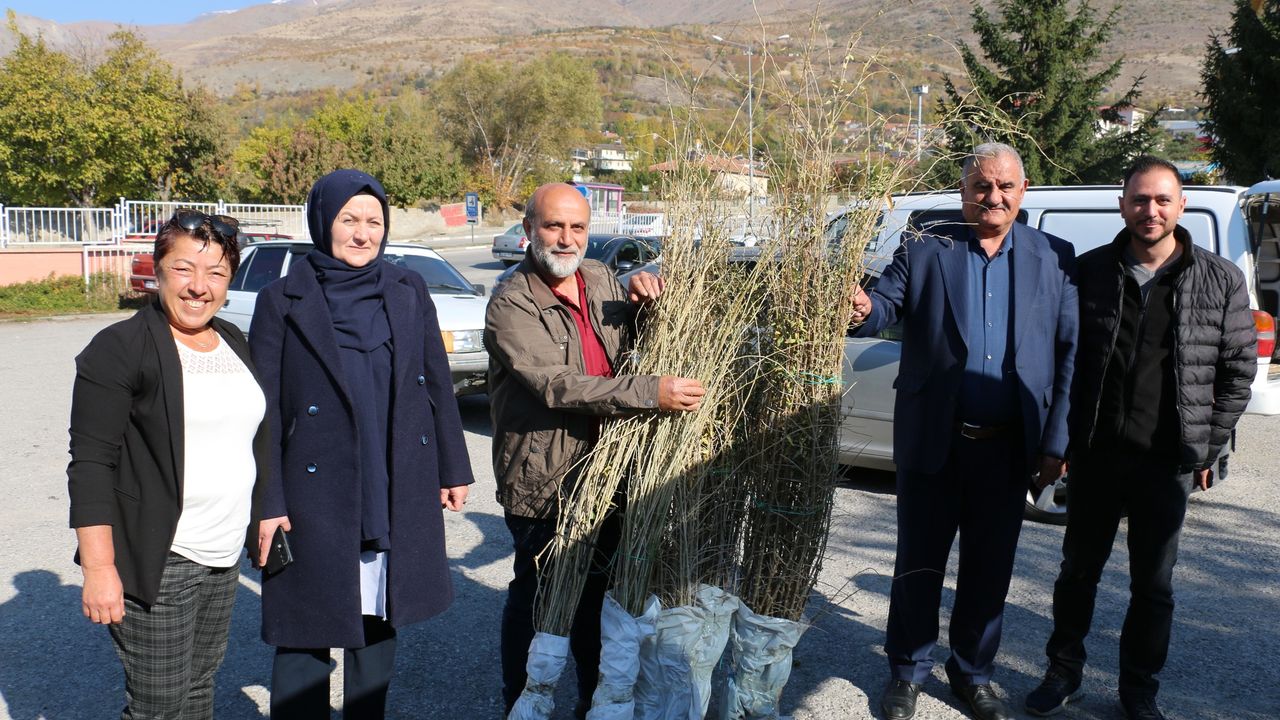 Erzincan’da Goji Berry “Kurt Üzümü” Yetiştiriciliği Başladı