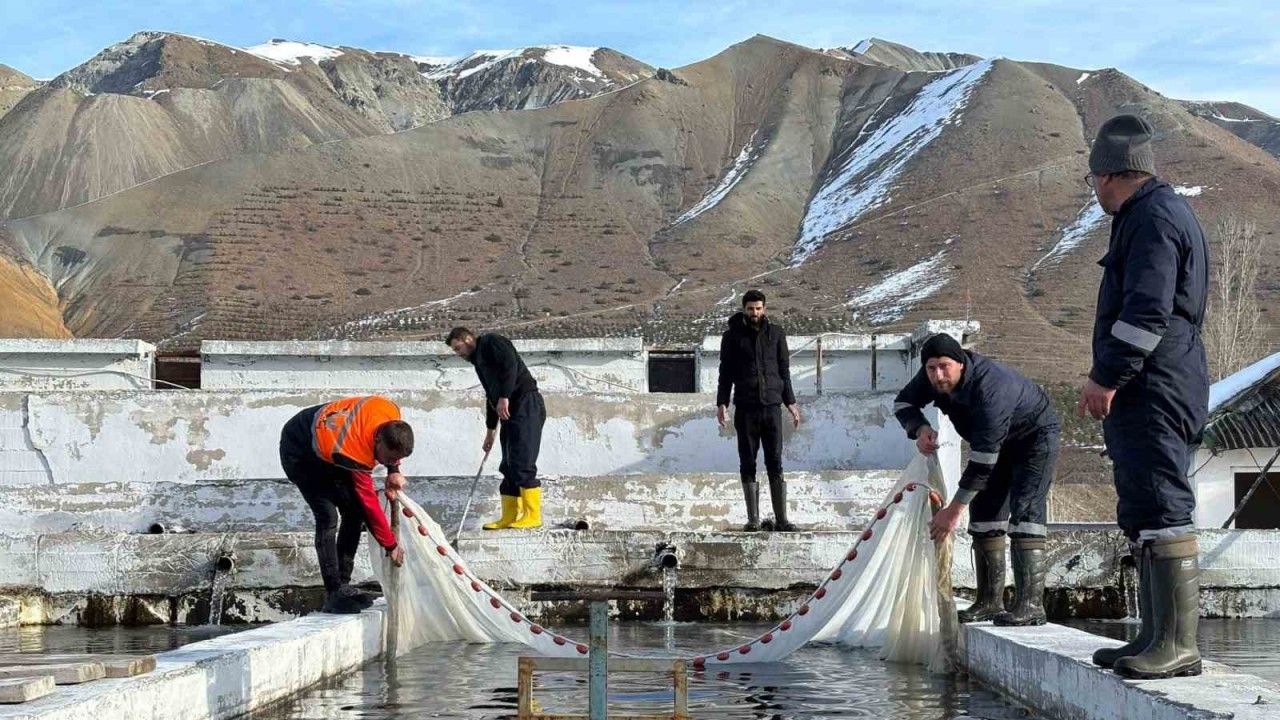 Erzincan Su Ürünlerinde Avrupa İle Yarışacak