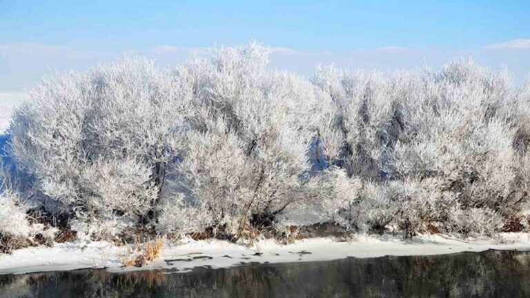 Erzincan’da En Düşük Hava Sıcaklığı Otlukbeli’de Ölçüldü