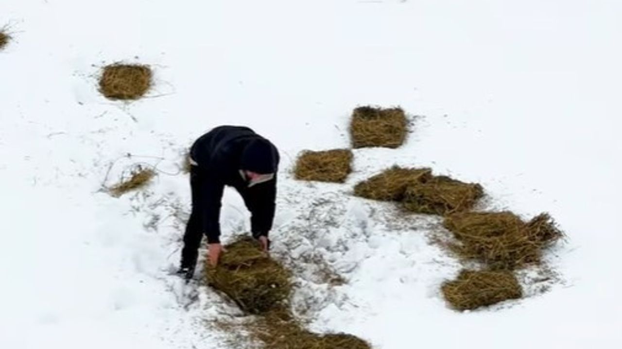 Doğu’da Yaban Hayvanları İçin Doğaya Yem Bırakıldı