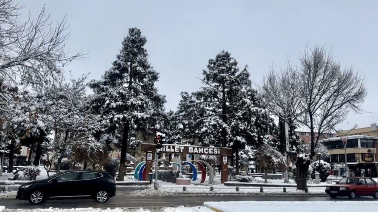 Erzincan’da Kar ve Tipi Etkisini Sürdürdü