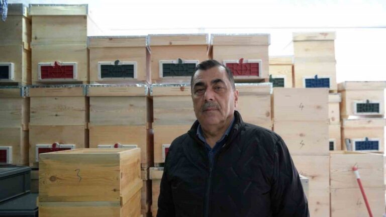 Arı Ölümlerine Dikkat!