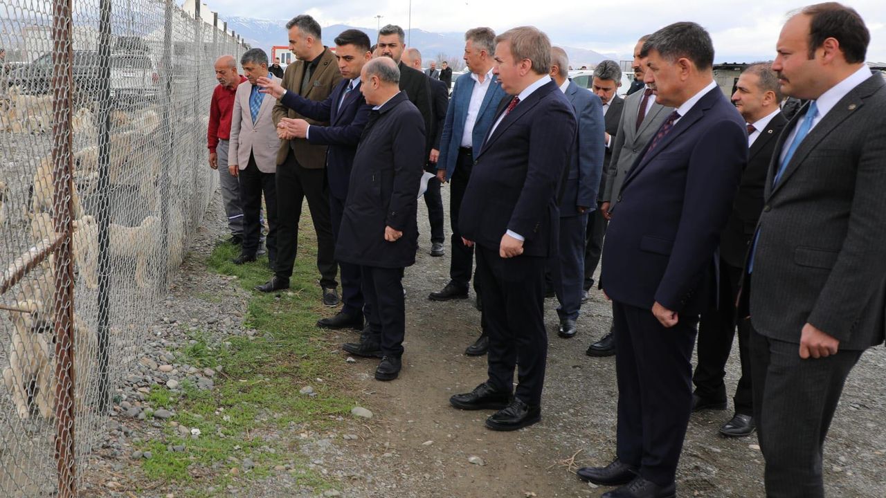 Bakan Yardımcısı Aktaş Hayvan Barınağında İncelemede Bulundu