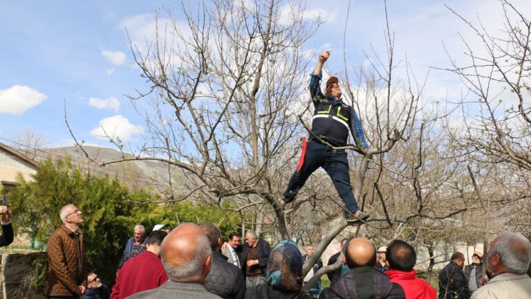 Tarım ve Orman İl Müdürlüğü Budama Eğitimi Veriyor