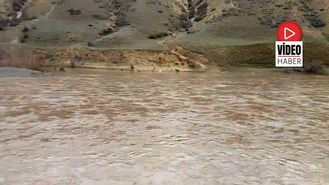 Karasu Nehri Coştu!