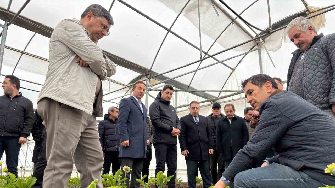 Erzincan Heyetinden Erbaa Kesme Çiçek Üretim Bölgesine Ziyaret