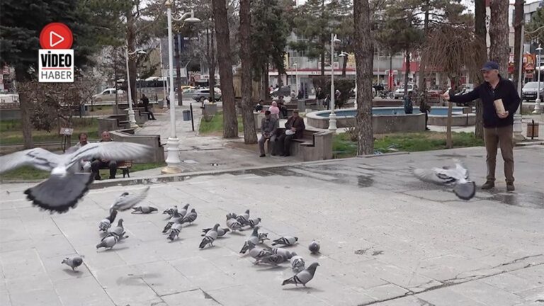 Ömrünü Kuşlara Adadı