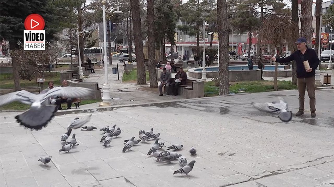 Ömrünü Kuşlara Adadı