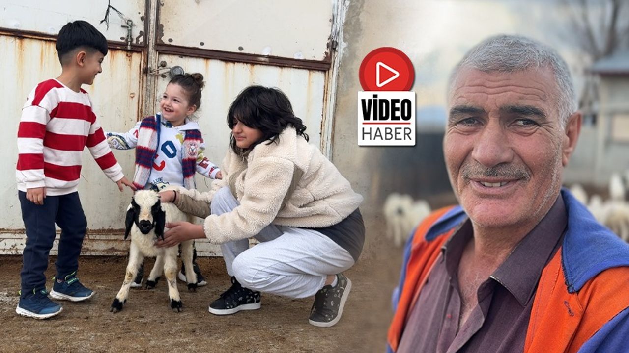 Yağışların Artışı Peynir Üretimini Canlandıracak