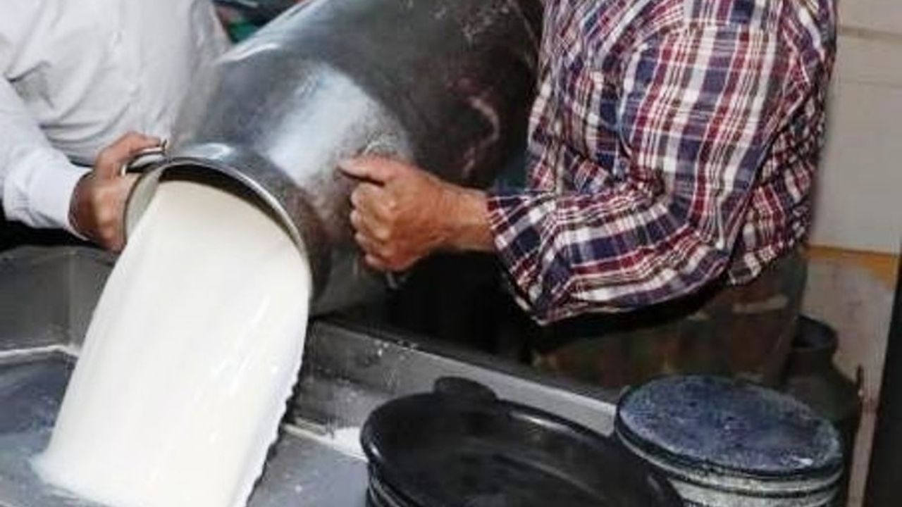 Ticari Süt İşletmelerince 857 Bin 821 Ton İnek Sütü Toplandı