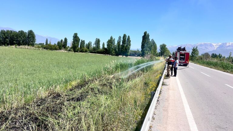 Yol Kenarına Atılan Sigara İzmariti Yangına Neden Oldu