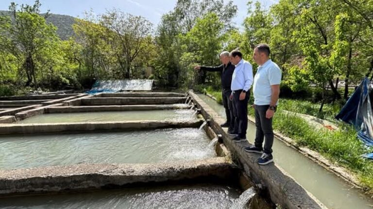 Erzincan’da Alabalık Üretimi Gelişiyor